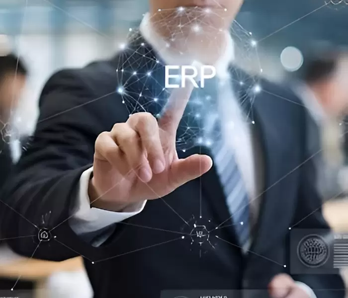 ERP Services